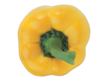 Yellow Pepper