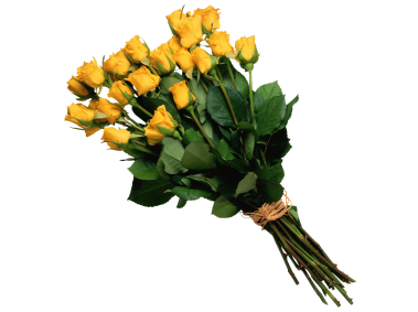 Yellow Rose Bouquet