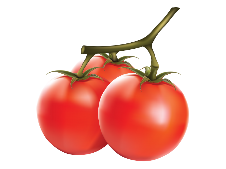 Tomato
