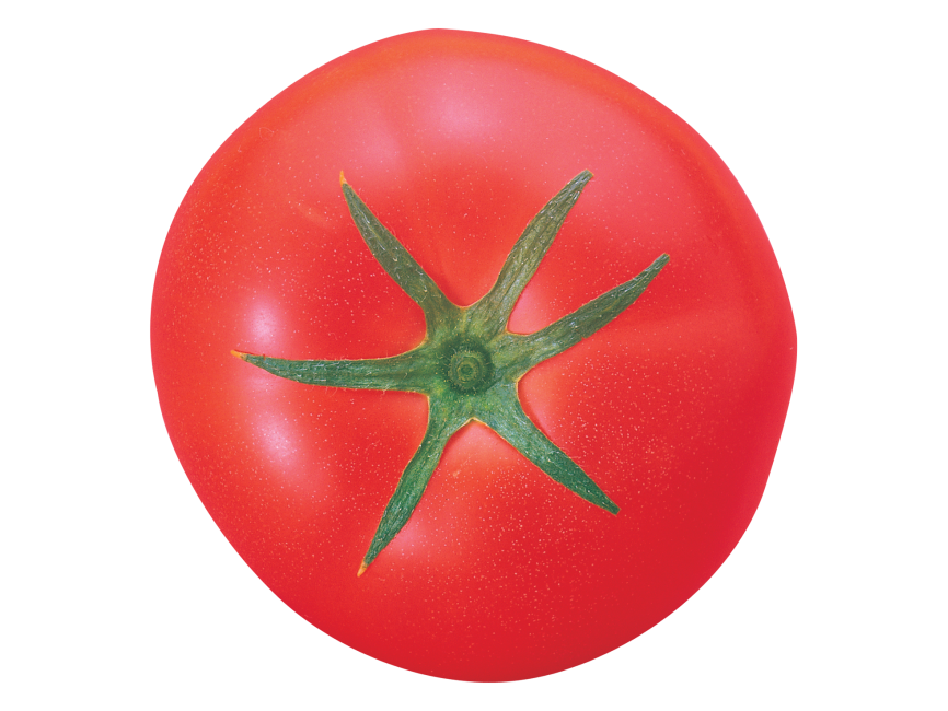 Tomato