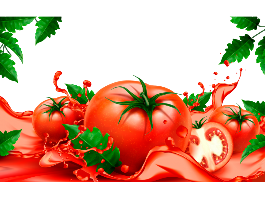 Tomato