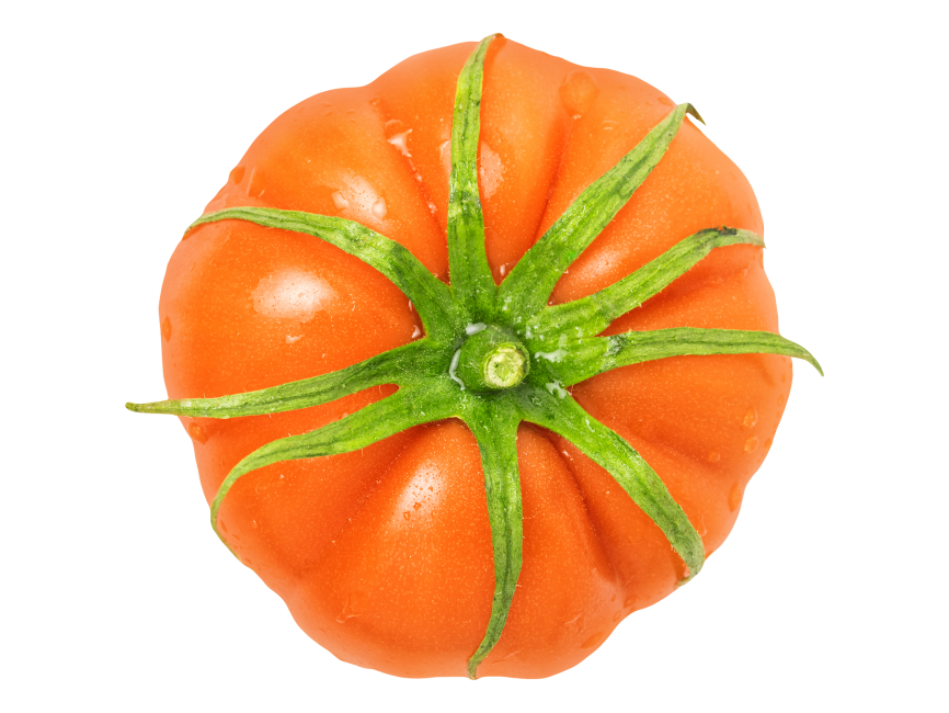 Tomato