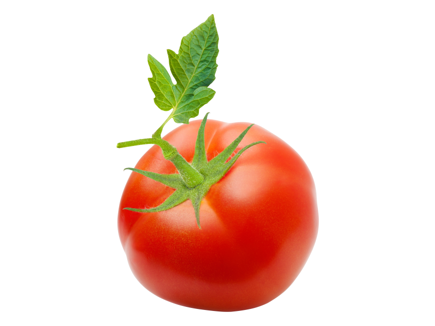 Tomato