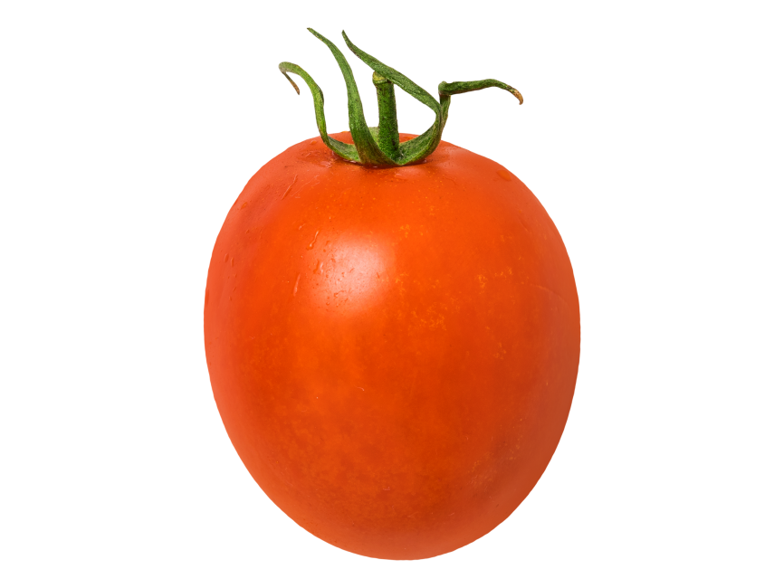 Tomato