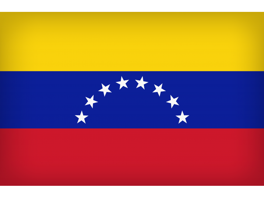 Venezuela Large Flag