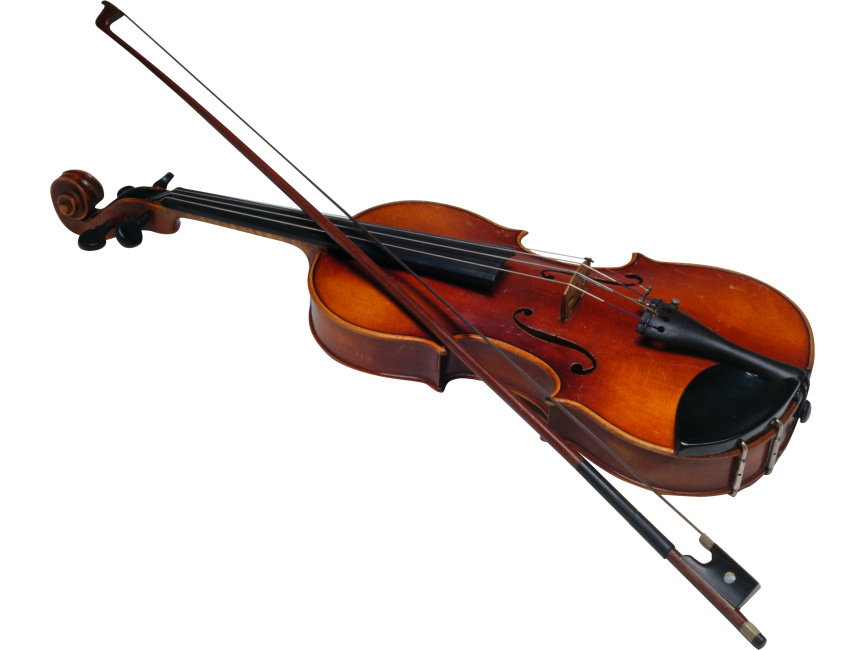 Violin