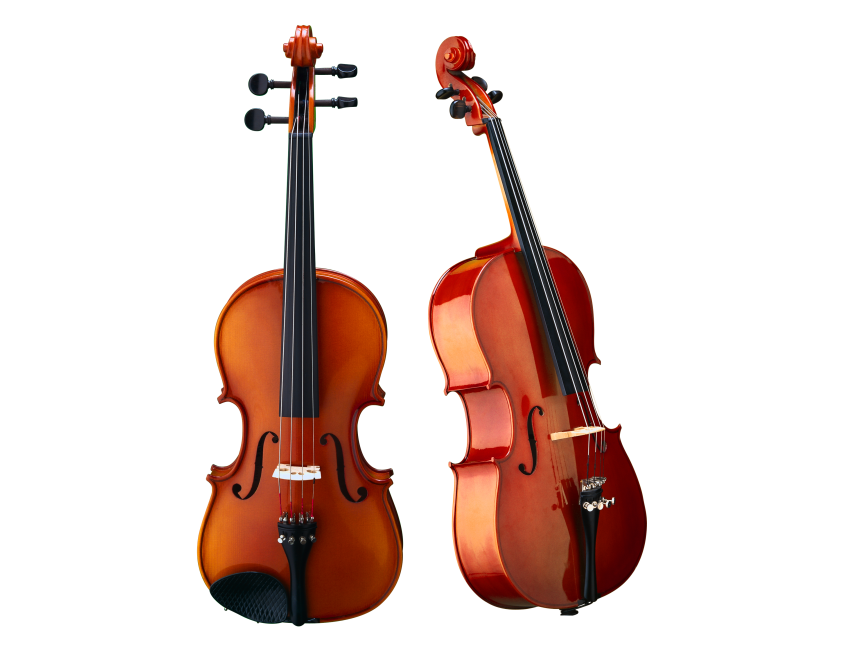 Violin