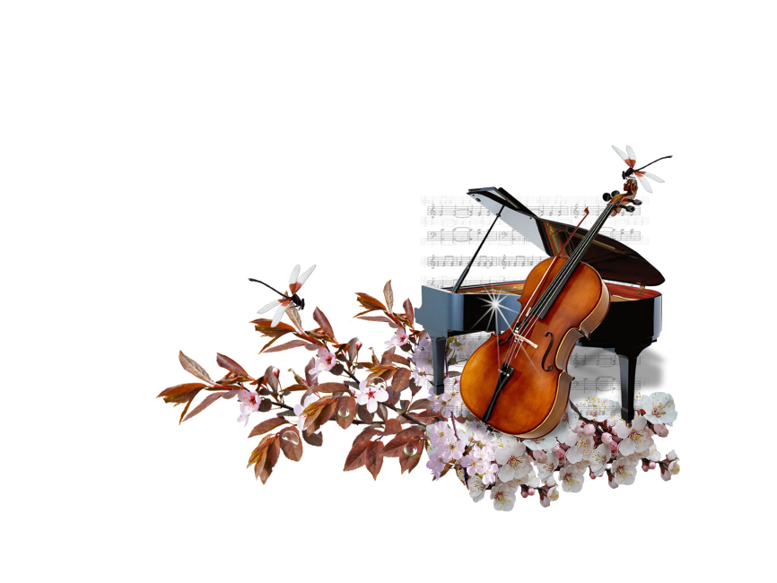 Violin