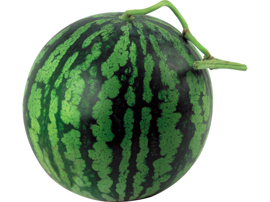 Water Melon
