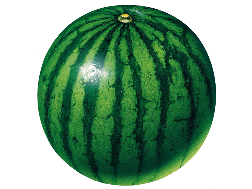 Water Melon