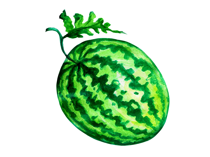 Watermelon