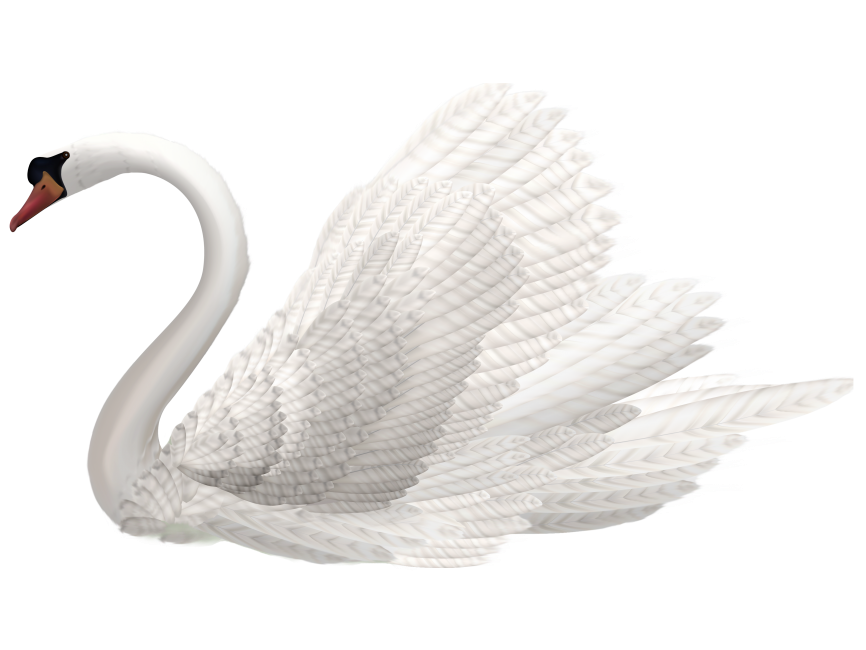 White Swan