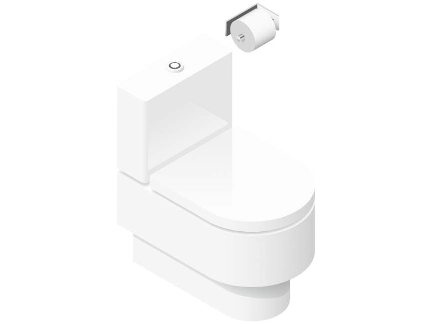 White Toilet Seat