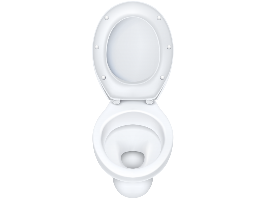 White Toilet Seat
