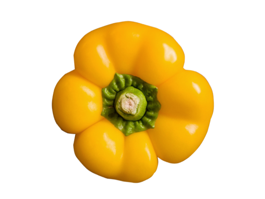 Yellow Pepper
